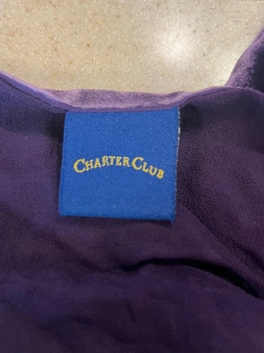 Charter Club Silk Purple Paisley Velvet Burnout Scarf Whimsigoth Witchy